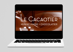 Le Cacaotier
